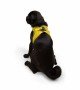 Tailpetz Air-mesh Harness Köpek Göğüs Tasması - Sarı M