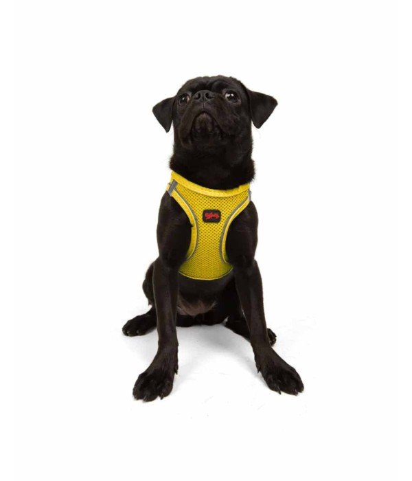 Tailpetz Air-mesh Harness Köpek Göğüs Tasması - Sarı M
