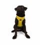 Tailpetz Air-mesh Harness Köpek Göğüs Tasması - Sarı M