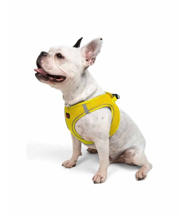 Tailpetz Air-mesh Harness Köpek Göğüs Tasması - Sarı L Tailpetz Air-mesh Harness Köpek Göğüs Tasması - Sarı L