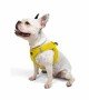 Tailpetz Air-mesh Harness Köpek Göğüs Tasması - Sarı L Tailpetz Air-mesh Harness Köpek Göğüs Tasması - Sarı L