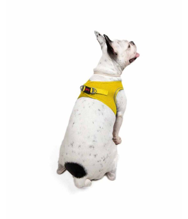 Tailpetz Air-mesh Harness Köpek Göğüs Tasması - Sarı L Tailpetz Air-mesh Harness Köpek Göğüs Tasması - Sarı L