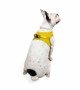 Tailpetz Air-mesh Harness Köpek Göğüs Tasması - Sarı L Tailpetz Air-mesh Harness Köpek Göğüs Tasması - Sarı L