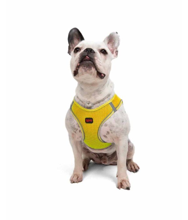 Tailpetz Air-mesh Harness Köpek Göğüs Tasması - Sarı L Tailpetz Air-mesh Harness Köpek Göğüs Tasması - Sarı L