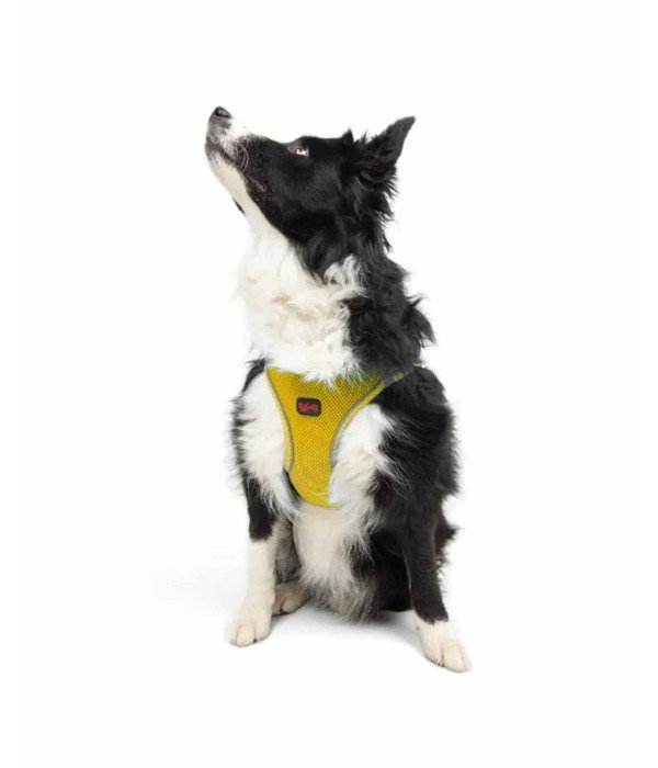 Tailpetz Air-mesh Harness Köpek Göğüs Tasması - Sarı XL