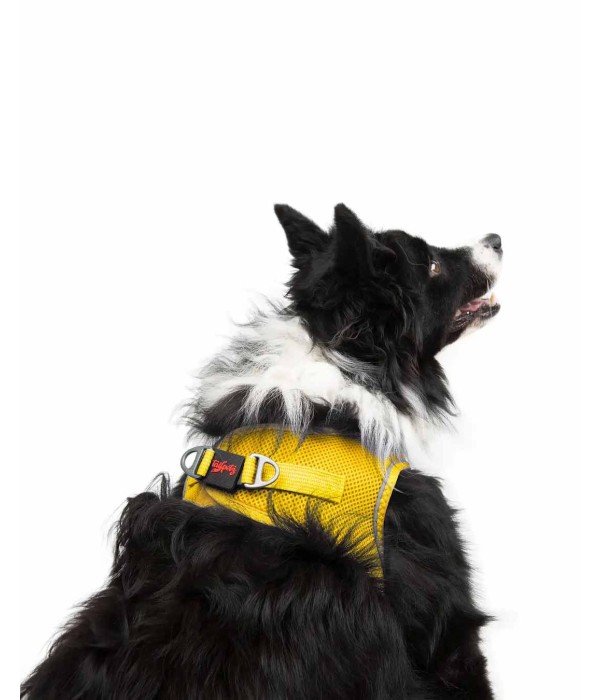 Tailpetz Air-mesh Harness Köpek Göğüs Tasması - Sarı XL