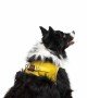Tailpetz Air-mesh Harness Köpek Göğüs Tasması - Sarı XL