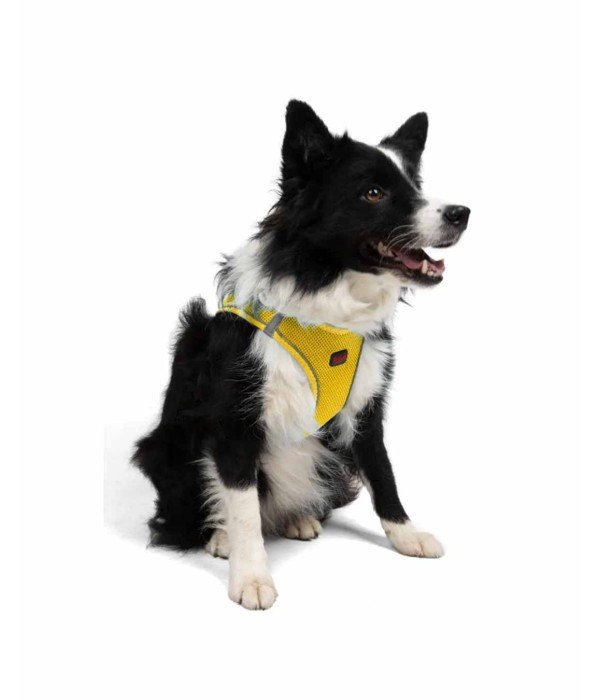 Tailpetz Air-mesh Harness Köpek Göğüs Tasması - Sarı XL