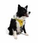 Tailpetz Air-mesh Harness Köpek Göğüs Tasması - Sarı XL