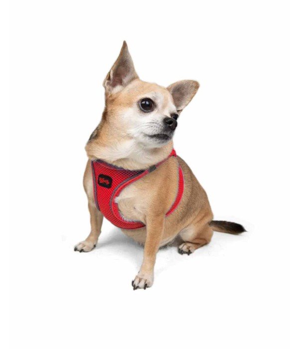 Tailpetz Air-mesh Harness Köpek Göğüs Tasması - Parlak Kırmızı 2XS