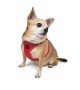 Tailpetz Air-mesh Harness Köpek Göğüs Tasması - Parlak Kırmızı 2XS