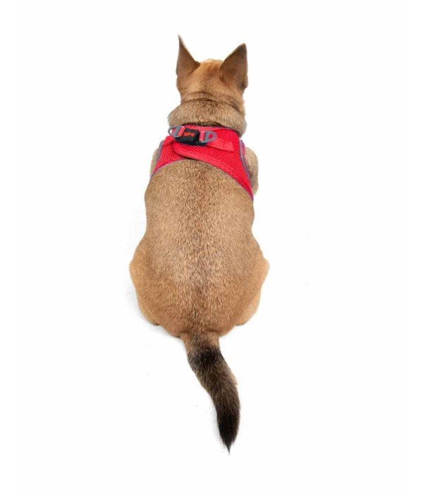 Tailpetz Air-mesh Harness Köpek Göğüs Tasması - Parlak Kırmızı 2XS