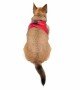 Tailpetz Air-mesh Harness Köpek Göğüs Tasması - Parlak Kırmızı 2XS