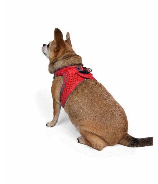 Tailpetz Air-mesh Harness Köpek Göğüs Tasması - Parlak Kırmızı 2XS
