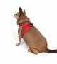 Tailpetz Air-mesh Harness Köpek Göğüs Tasması - Parlak Kırmızı 2XS
