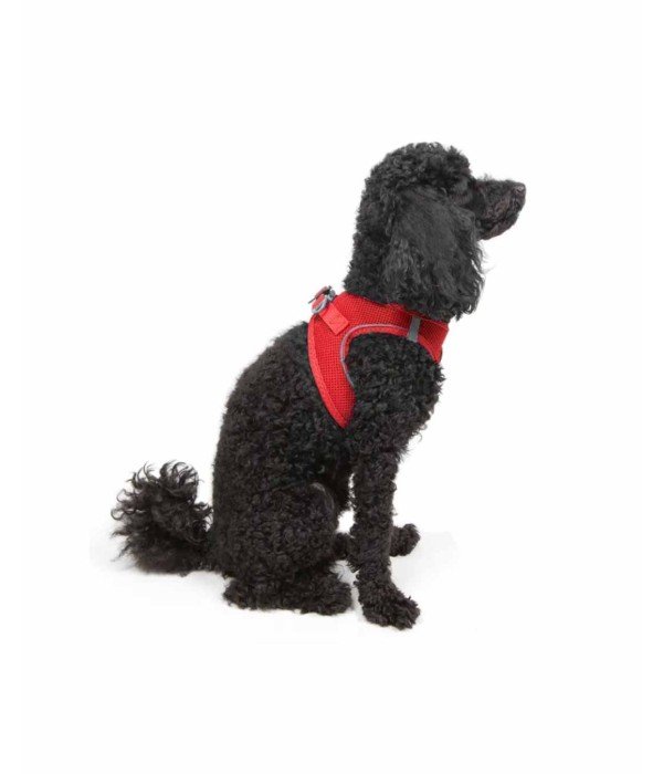 Tailpetz Air-mesh Harness Köpek Göğüs Tasması - Parlak Kırmızı XS