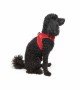 Tailpetz Air-mesh Harness Köpek Göğüs Tasması - Parlak Kırmızı XS