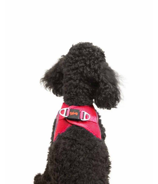 Tailpetz Air-mesh Harness Köpek Göğüs Tasması - Parlak Kırmızı XS