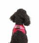 Tailpetz Air-mesh Harness Köpek Göğüs Tasması - Parlak Kırmızı XS