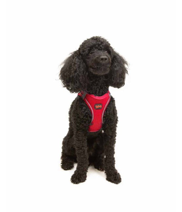 Tailpetz Air-mesh Harness Köpek Göğüs Tasması - Parlak Kırmızı XS
