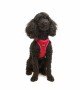 Tailpetz Air-mesh Harness Köpek Göğüs Tasması - Parlak Kırmızı XS