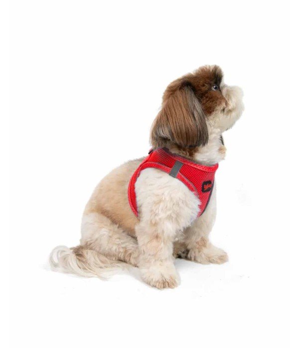 Tailpetz Air-mesh Harness Köpek Göğüs Tasması - Parlak Kırmızı S
