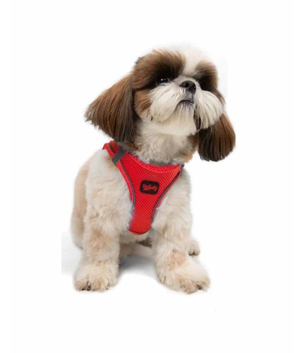 Tailpetz Air-mesh Harness Köpek Göğüs Tasması - Parlak Kırmızı S