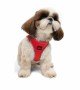 Tailpetz Air-mesh Harness Köpek Göğüs Tasması - Parlak Kırmızı S