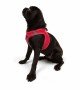Tailpetz Air-mesh Harness Köpek Göğüs Tasması - Parlak Kırmızı M