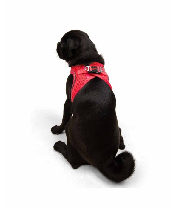 Tailpetz Air-mesh Harness Köpek Göğüs Tasması - Parlak Kırmızı M
