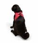 Tailpetz Air-mesh Harness Köpek Göğüs Tasması - Parlak Kırmızı M