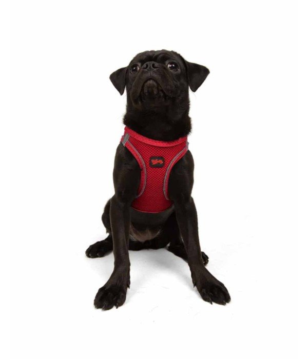 Tailpetz Air-mesh Harness Köpek Göğüs Tasması - Parlak Kırmızı M