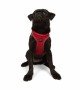 Tailpetz Air-mesh Harness Köpek Göğüs Tasması - Parlak Kırmızı M