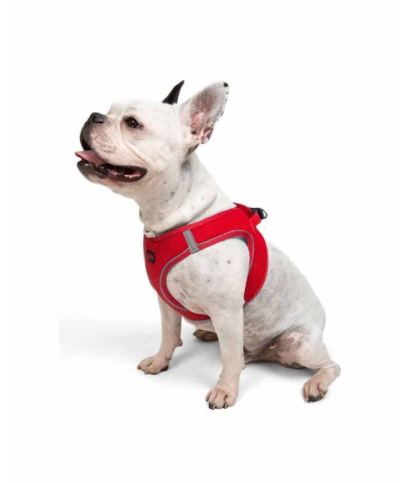 Tailpetz Air-mesh Harness Köpek Göğüs Tasması - Parlak Kırmızı L