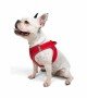 Tailpetz Air-mesh Harness Köpek Göğüs Tasması - Parlak Kırmızı L