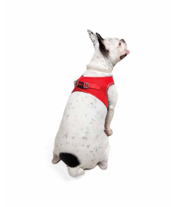 Tailpetz Air-mesh Harness Köpek Göğüs Tasması - Parlak Kırmızı L