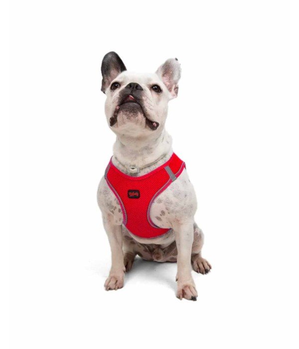 Tailpetz Air-mesh Harness Köpek Göğüs Tasması - Parlak Kırmızı L