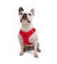 Tailpetz Air-mesh Harness Köpek Göğüs Tasması - Parlak Kırmızı L