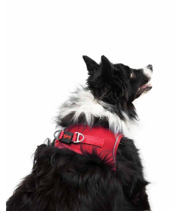 Tailpetz Air-mesh Harness Köpek Göğüs Tasması - Parlak Kırmızı XL
