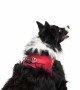Tailpetz Air-mesh Harness Köpek Göğüs Tasması - Parlak Kırmızı XL
