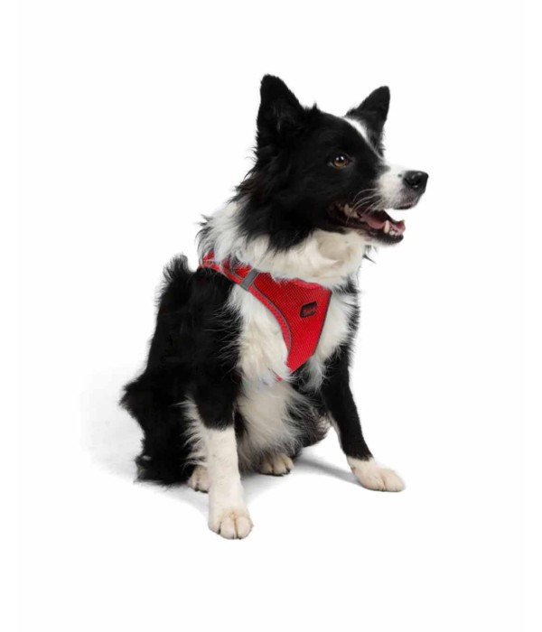 Tailpetz Air-mesh Harness Köpek Göğüs Tasması - Parlak Kırmızı XL