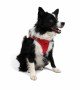 Tailpetz Air-mesh Harness Köpek Göğüs Tasması - Parlak Kırmızı XL