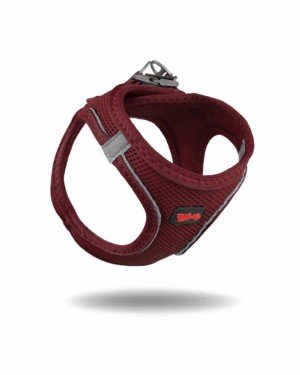 Tailpetz Air-mesh Harness Köpek Göğüs Tasması - Bordo XS