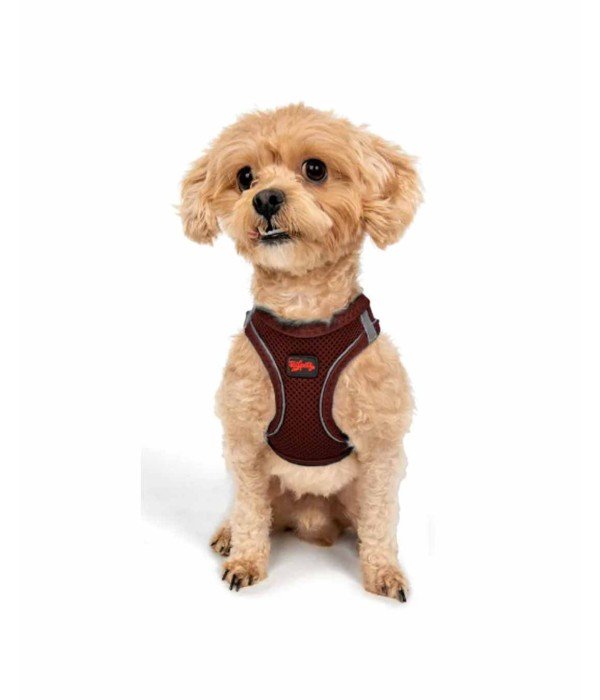 Tailpetz Air-mesh Harness Köpek Göğüs Tasması - Bordo 3XS
