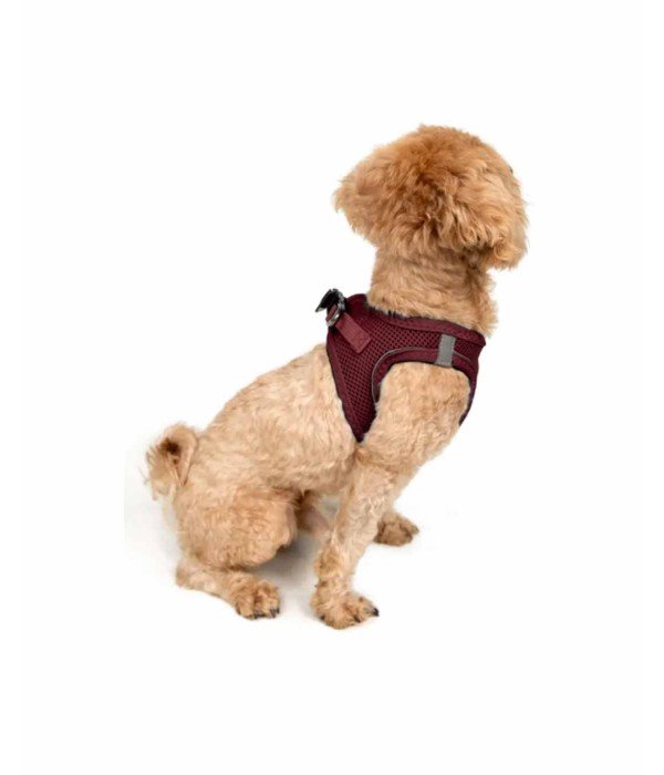 Tailpetz Air-mesh Harness Köpek Göğüs Tasması - Bordo 3XS