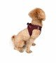 Tailpetz Air-mesh Harness Köpek Göğüs Tasması - Bordo 3XS
