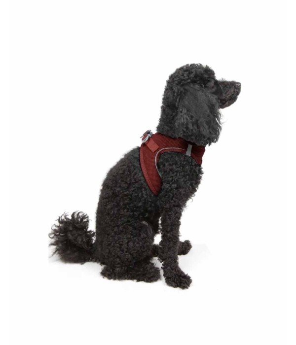 Tailpetz Air-mesh Harness Köpek Göğüs Tasması - Bordo XS