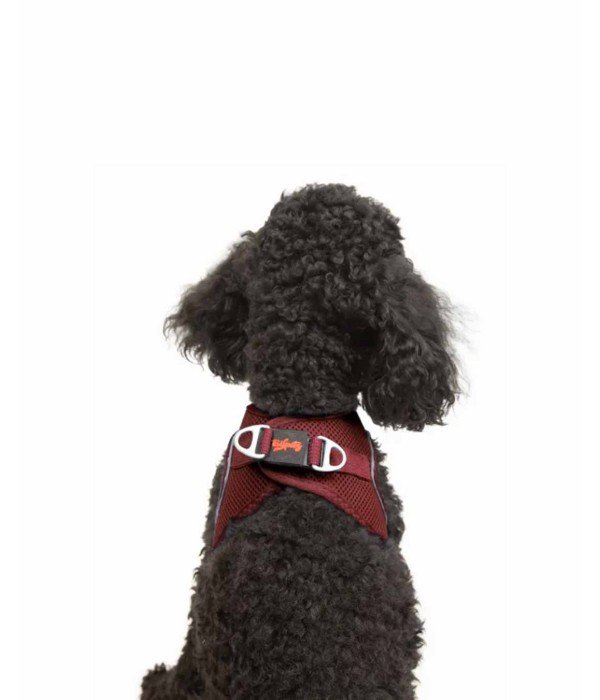 Tailpetz Air-mesh Harness Köpek Göğüs Tasması - Bordo XS