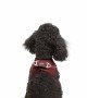 Tailpetz Air-mesh Harness Köpek Göğüs Tasması - Bordo XS