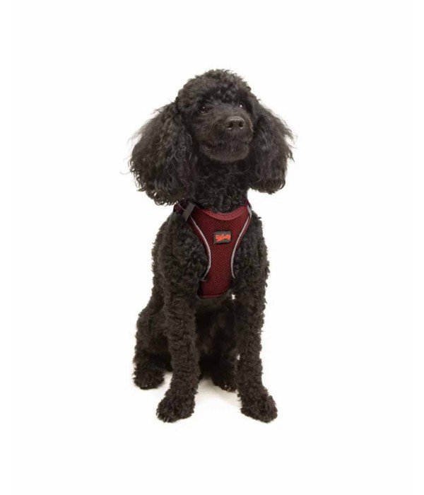 Tailpetz Air-mesh Harness Köpek Göğüs Tasması - Bordo XS